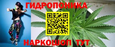 стафф Можга